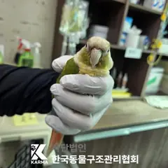 강북구 기타(회/녹/빨) 기타축종 성별 미상