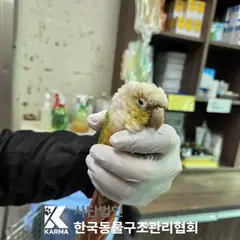 의정부시 기타(빨/초/노) 기타축종 성별 미상