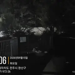 전주시 흰색 믹스견 암컷